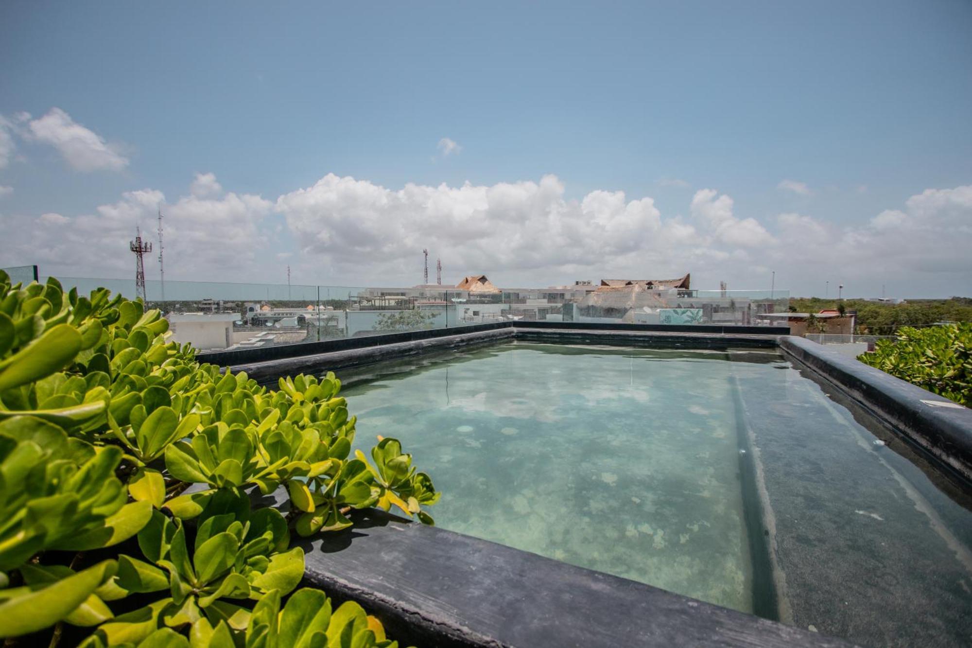 Апартаменти Depto De Lujo Con Plunge Pool Privada Тулум Екстер'єр фото