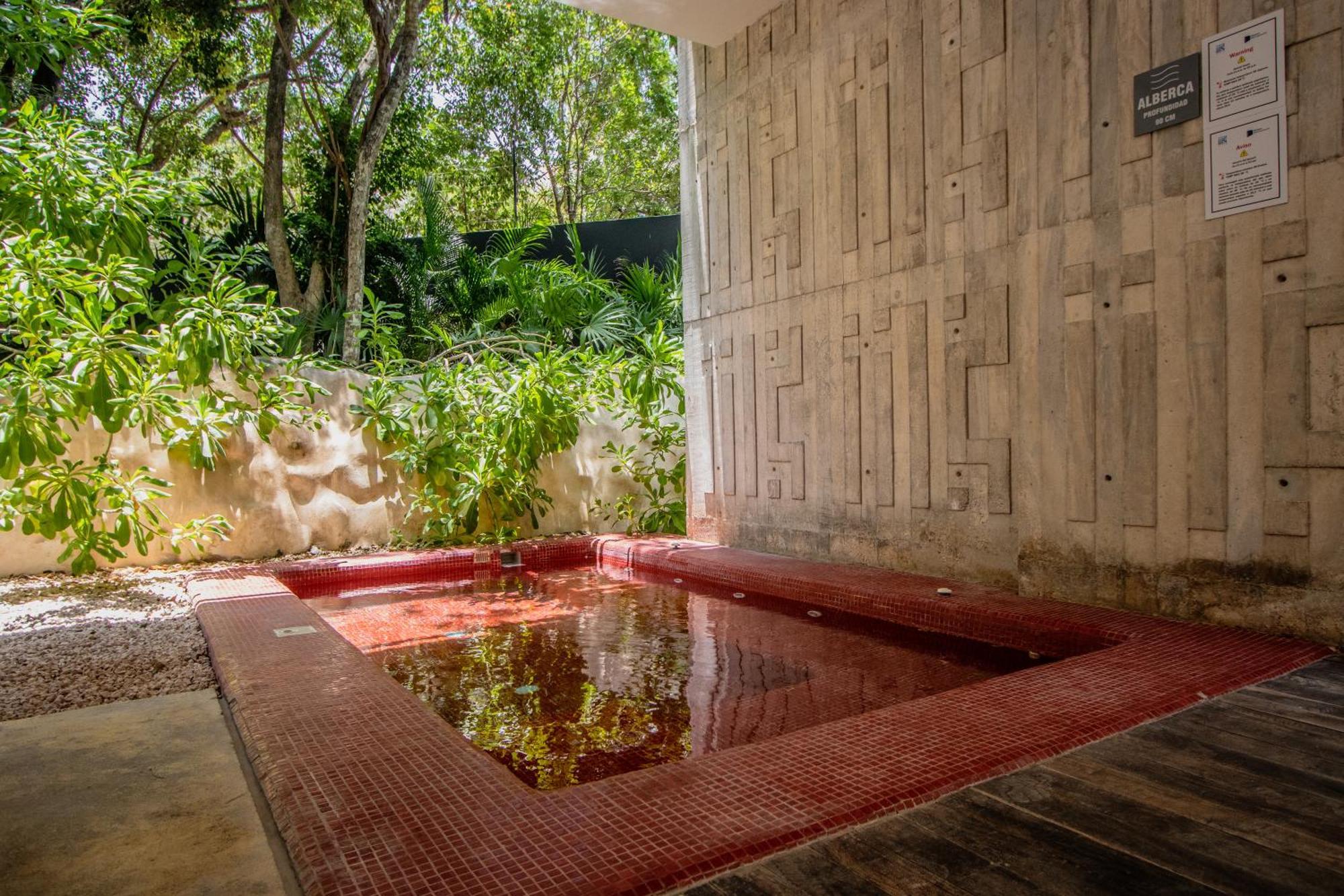 Апартаменти Depto De Lujo Con Plunge Pool Privada Тулум Екстер'єр фото